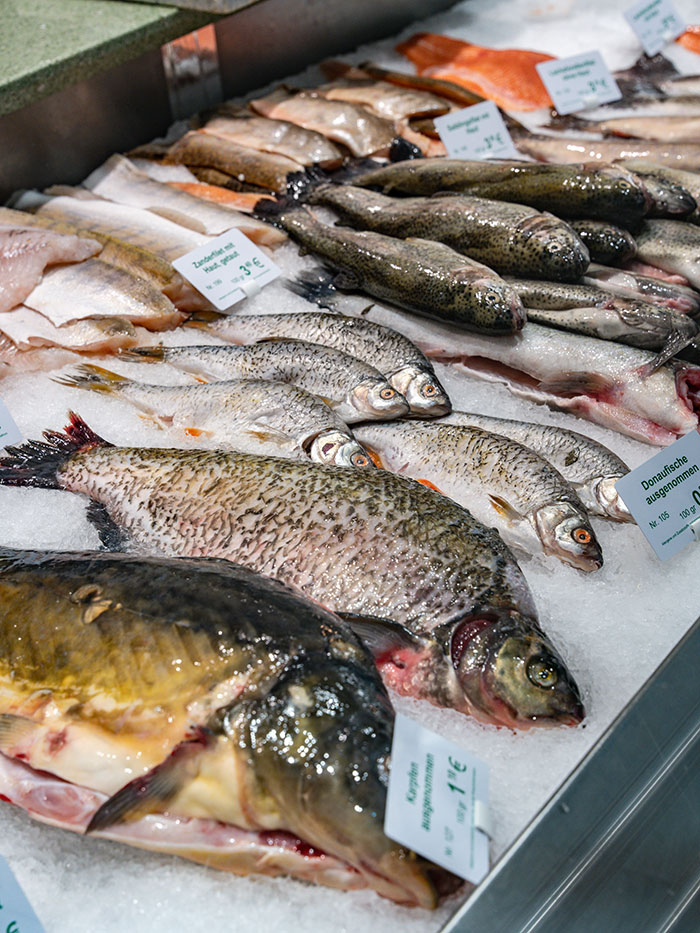 Frische Süßwasserfische in der Theke ausgelegt